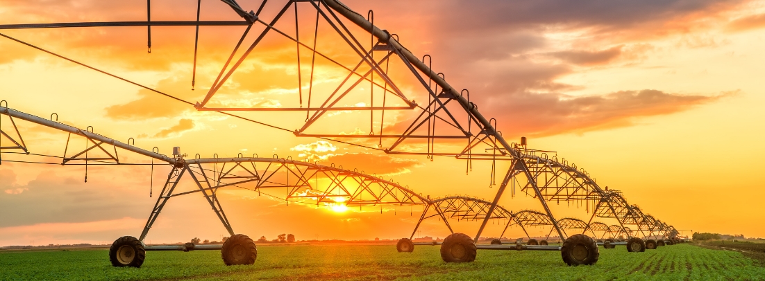 Photograph of an automated farming irrigation system in sunset